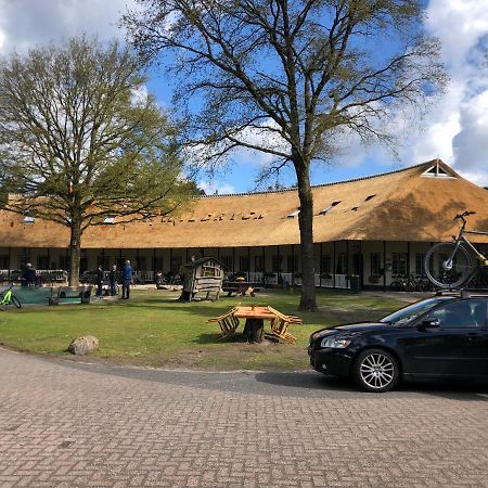 Chalet Albatros Diever Exterior foto